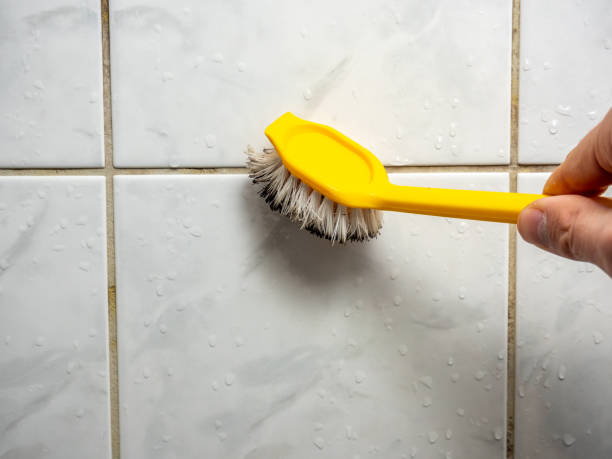Best Post-Flood Mold Remediation in St Paul, TX