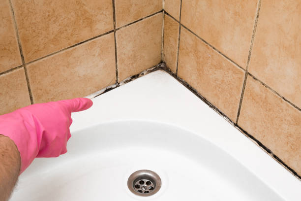 St Paul, TX Mold Remediation Company
